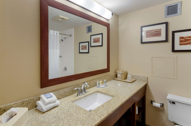 Bathroom 4, Comfort Inn Blacksburg University Area, Montgomery