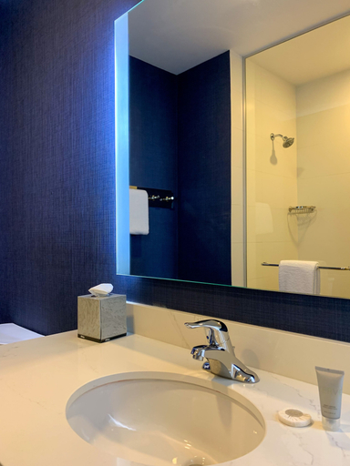 Bathroom 4, Residence Inn by Marriott Merida, Mérida