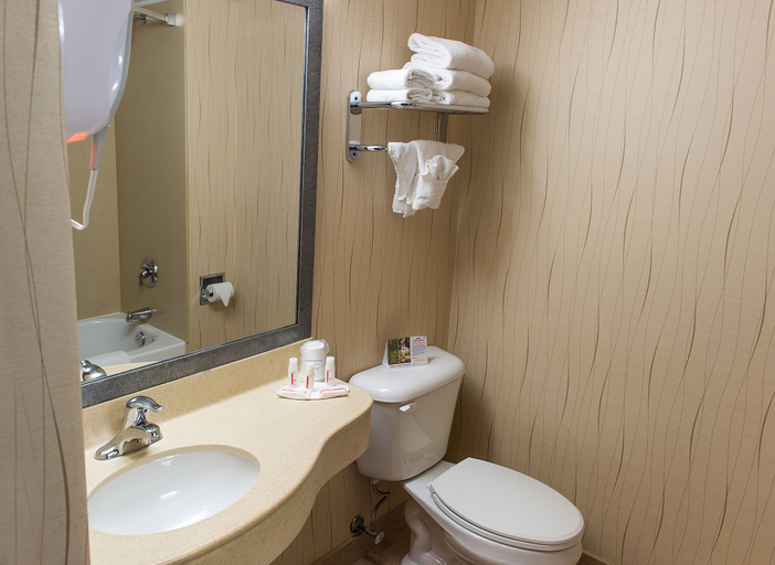 Bathroom 5, Howard Johnson Plaza by Wyndham by the Falls Niagara Falls, Niagara