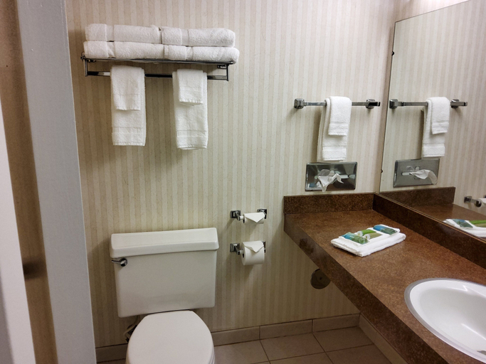 Bathroom 3, Klopfenstein Inn and Suites, Allen