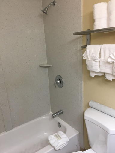 Bathroom 4, Red Lion Hotel Charlotte, Mecklenburg