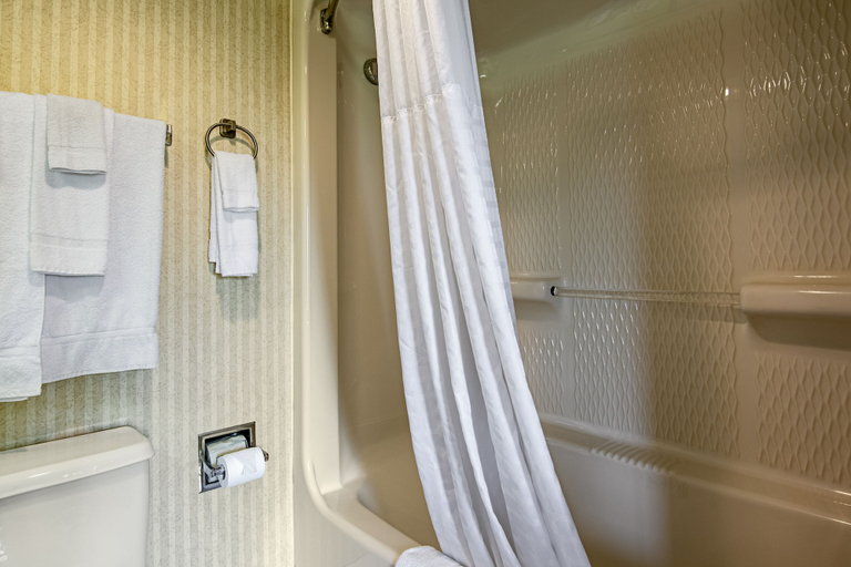 Bathroom 5, Quality Inn Portsmouth, Rockingham