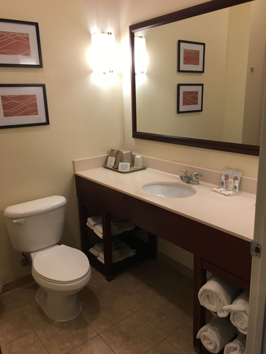 Bathroom 4, Comfort Inn & Suites Crestview South, Okaloosa