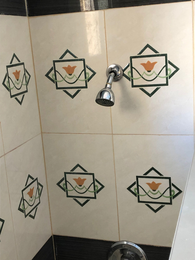 Bathroom 3, Hotel Sunnyside, San Francisco