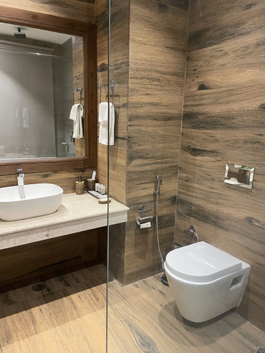 Bathroom 3, Sylvan Hues, Kullu
