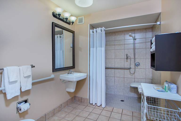 Bathroom 2, Staybridge Suites Chattanooga Downtown - Convention Center by IHG, Hamilton