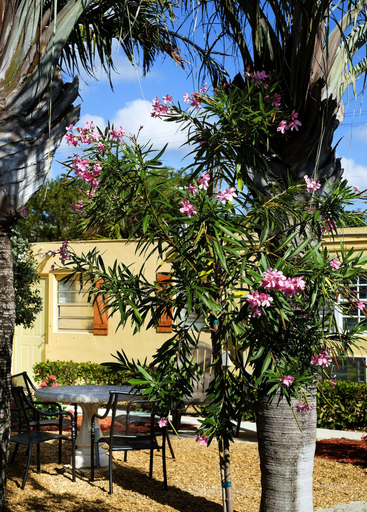 Others 4, Atlantic Hideaway, Palm Beach