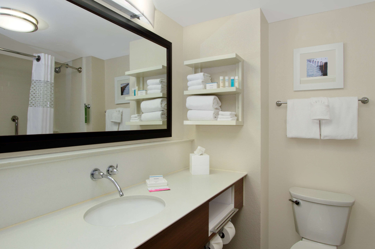 Bathroom 5, Hampton Inn Cocoa Beach/Cape Canaveral, Brevard