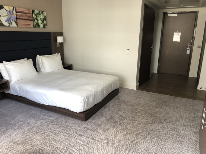 Bedroom 4, Hilton Garden Inn Birmingham Airport, Solihull