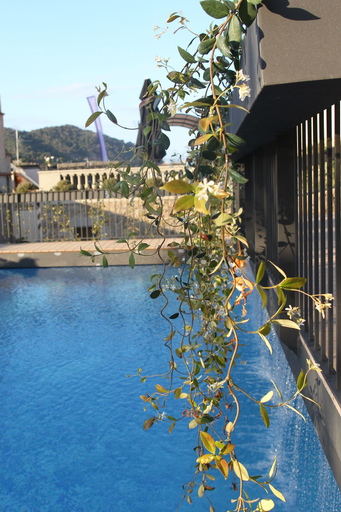 Sport & Beauty 3, Casa Granados Boutique Hotel, Girona
