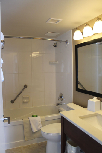Bathroom 5, Best Western Plus Suites Downtown, Division No. 6