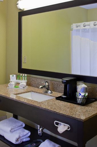 Bathroom 4, Holiday Inn Express & Suites SAGINAW, Saginaw