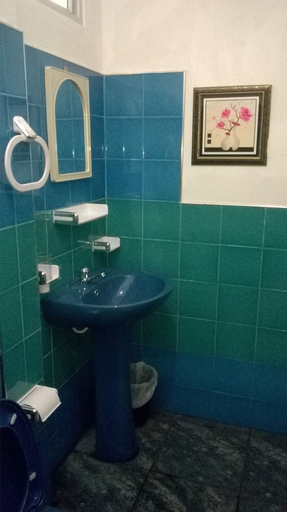 Bathroom 3, Sigiriya Vee Guest, Dambulla