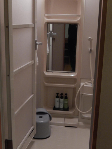Bathroom 4, Hotel Daisen Shirogane, Daisen