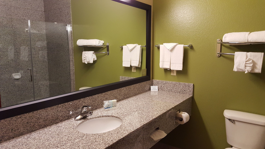 Bathroom 3, Sleep Inn & Suites Shamrock, Wheeler