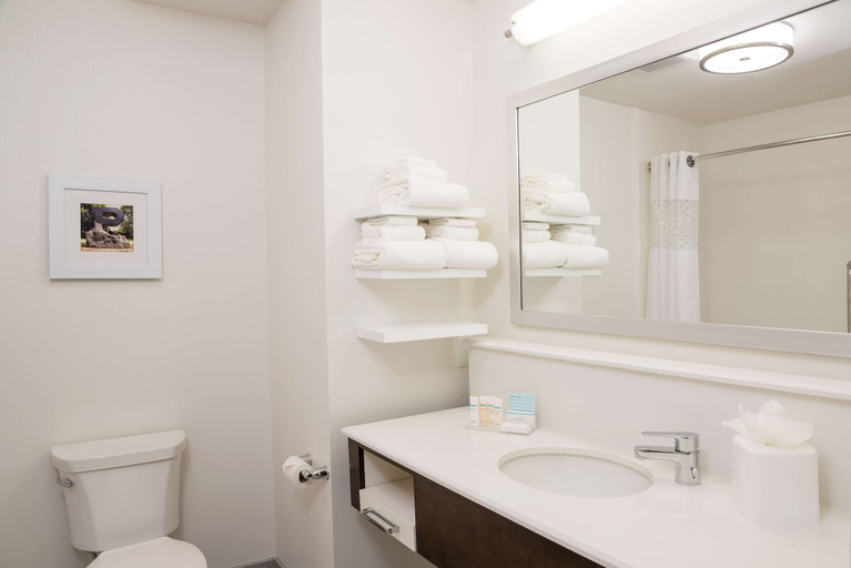 Bathroom 4, Hampton Inn & Suites West Lafayette, Tippecanoe