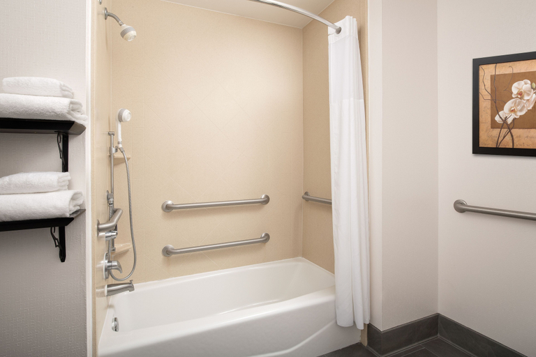 Bathroom 5, Hampton Inn & Suites Lake City, Columbia