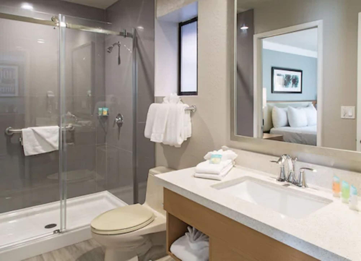 Bathroom 4, Alexis Park Resort, Clark