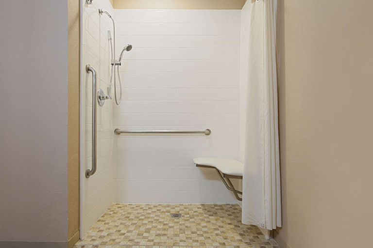 Bathroom 5, Microtel Inn & Suites by Wyndham Walterboro, Colleton