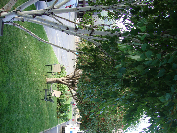 Others 5, Silver Spruce Inn, Garfield