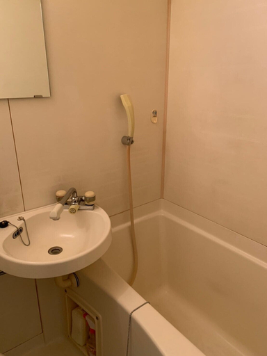 Bathroom 3, Uzumasa 205, Kyoto