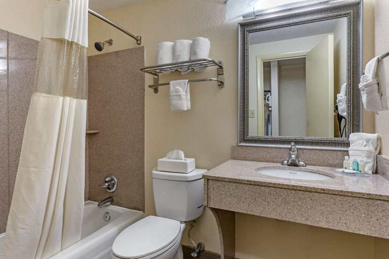 Bathroom 5, Quality Inn & Suites - Greensboro-High Point, Guilford