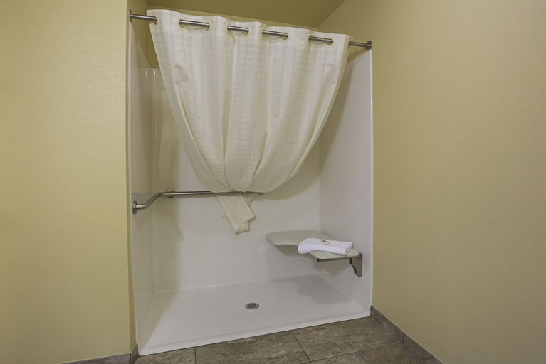 Bathroom 4, Cobblestone Hotel & Suites - Paxton, Ford