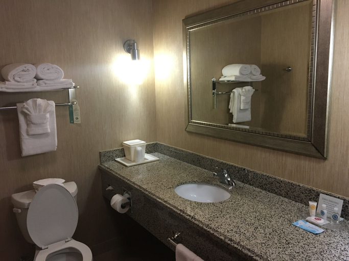 Bathroom 4, Comfort Suites - Hobbs, Lea