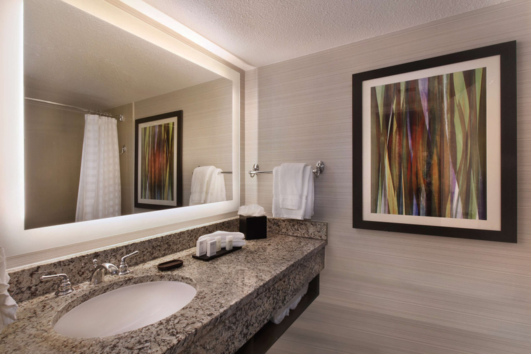 Bathroom 5, Embassy Suites by Hilton Palm Desert, Riverside