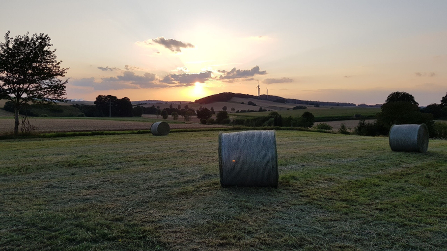Others 5, Ferienhof Lohmann, Holzminden