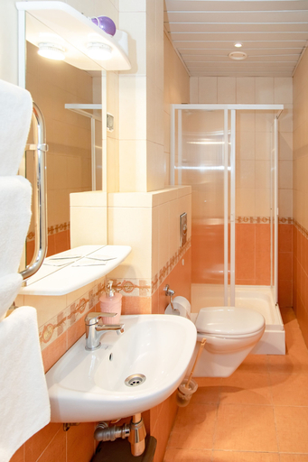 Bathroom 4, Guest rooms and apartments Grifon, Sankt-Peterburg gorsovet