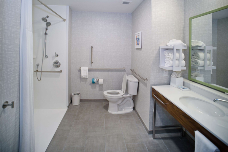 Bathroom 4, Hampton Inn Atlanta/Fayetteville, Fayette
