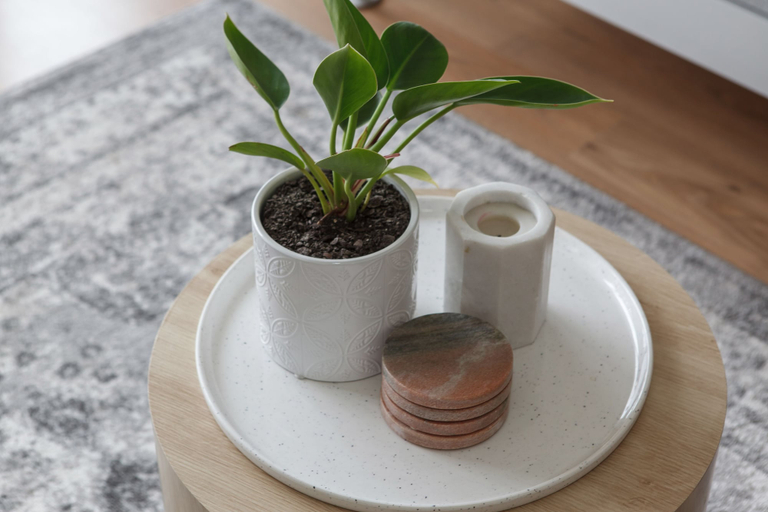 Food & Drinks, Heart of Ormond Apartment by Ready Set Host, Melbourne