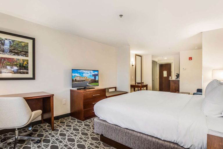Bedroom 3, Comfort Inn & Suites Brevard North, Transylvania