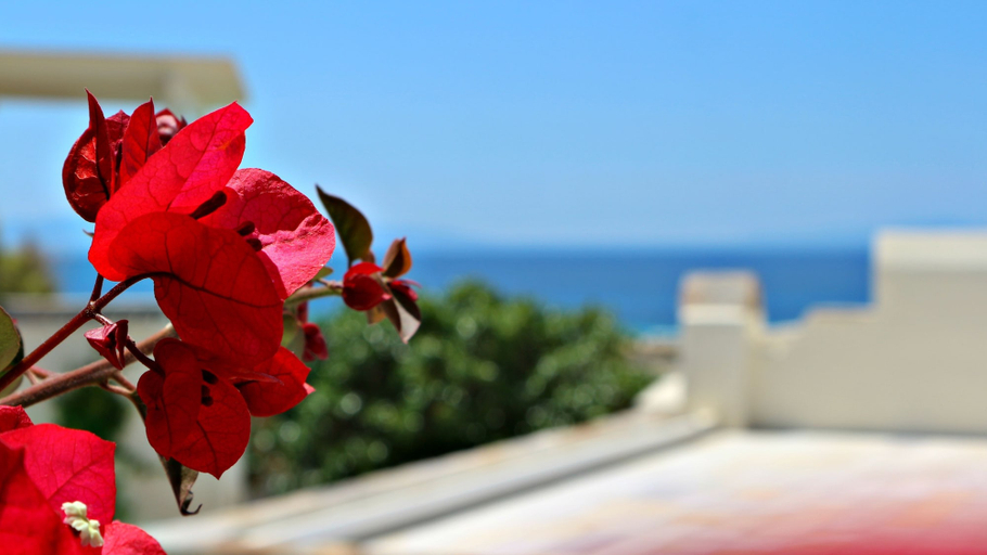 Exterior & Views 2, Proteas Hotel & Suites, South Aegean