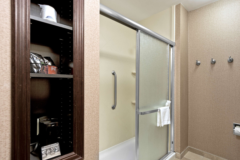 Bathroom 5, Hampton Inn Statesville, Iredell