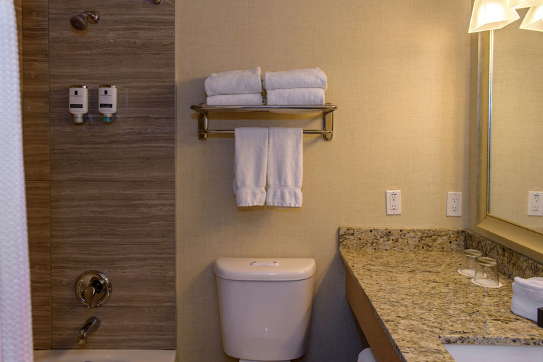 Bathroom 4, Deerhurst Resort, Muskoka