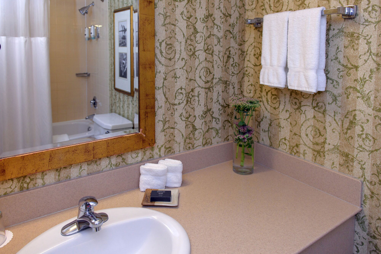 Bathroom 4, Deerhurst Resort, Muskoka