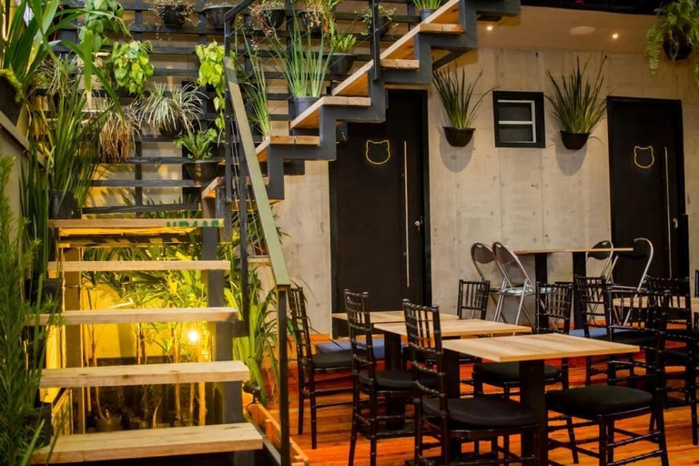 Food & Drinks 4, Pousada Casa dos Gattos - Prox Aero GRU, Guarulhos