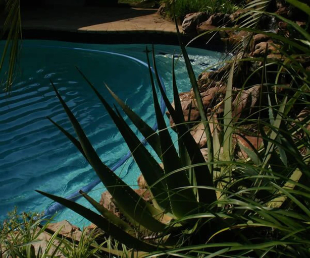 Sport & Beauty 2, The Saffron House, iLembe