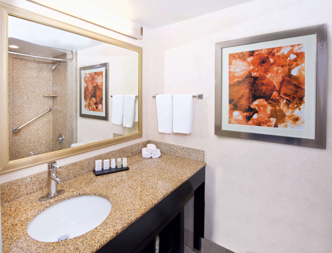 Bathroom 4, Embassy Suites by Hilton Colorado Springs, El Paso