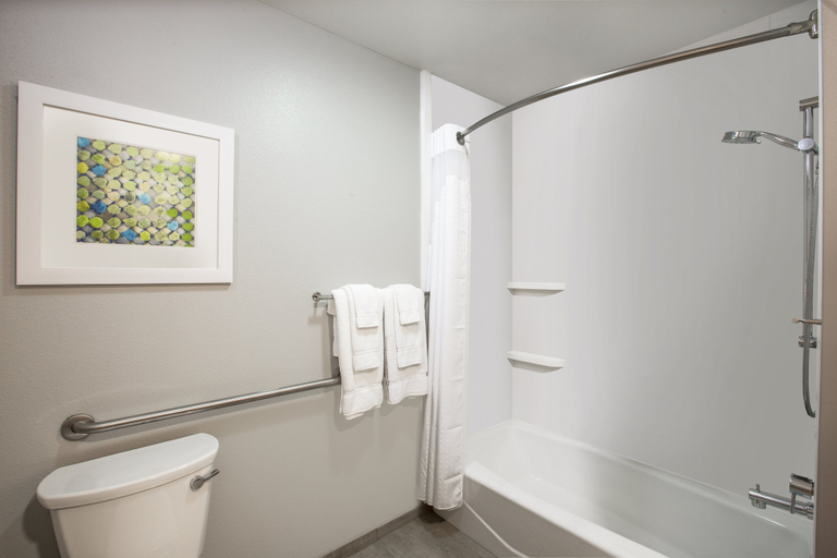 Bathroom 4, Holiday Inn Express Hotel & Suites Columbus by IHG, Platte