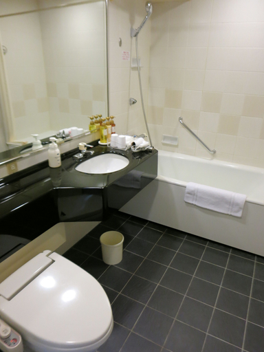 Bathroom 4, Hamilton Hotel Red, Nagoya