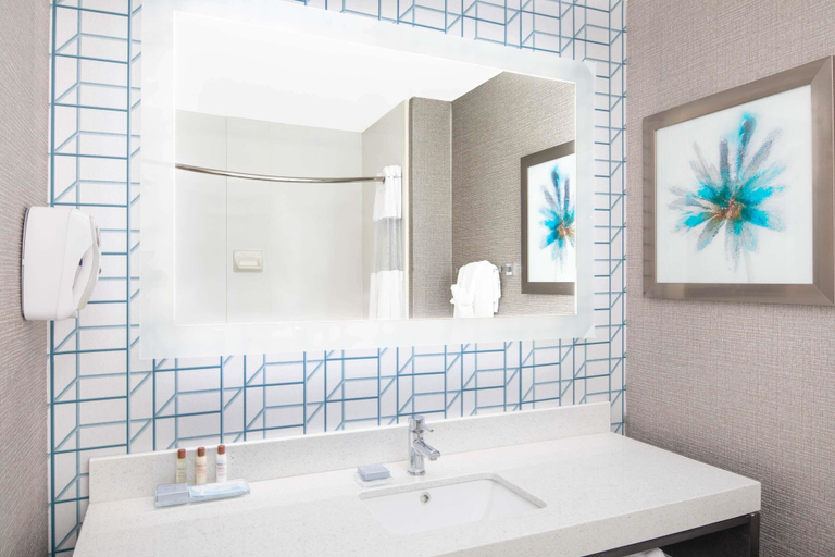 Bathroom 5, Wingate by Wyndham - Greenville-Airport, Greenville
