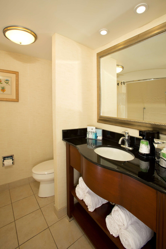 Bathroom 4, Hampton Inn Alexandria/Pentagon South, Arlington