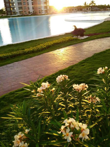 Others 5, Dreams Lagoon Cancun, Benito Juárez