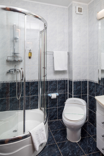 Bathroom, Hotel Rozmarin, Predeal