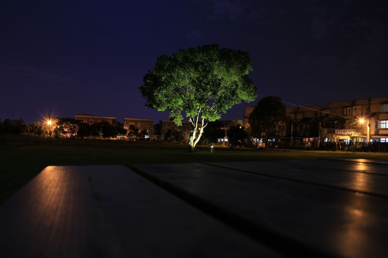 Others 5, Oak Garden, Hualien