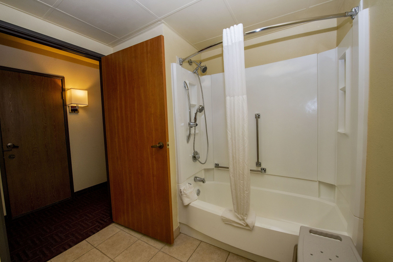 Bathroom 4, Quality Inn Colorado Springs South, El Paso