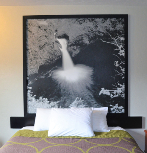 Bedroom 3, Super 8 by Wyndham Roseburg, Douglas
